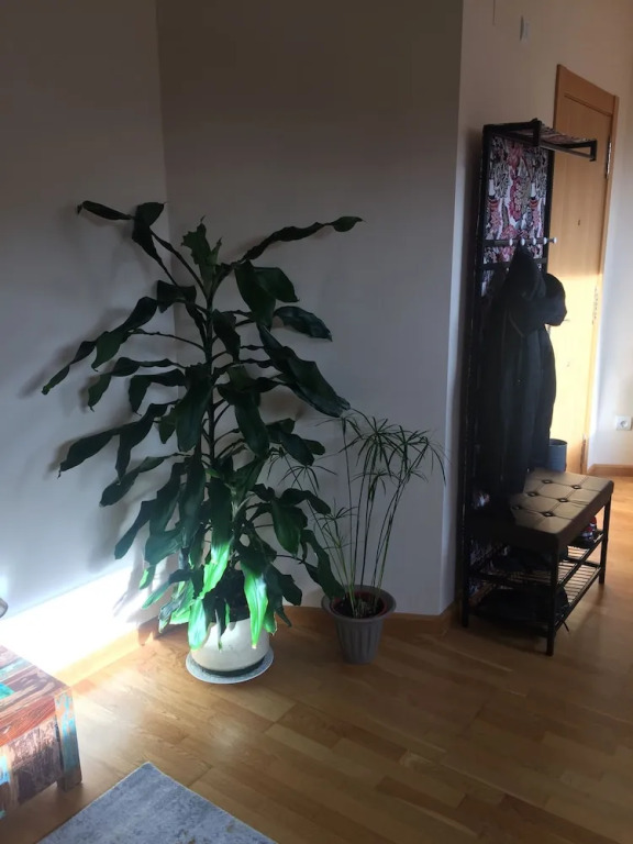 Apartamento Conde Luna