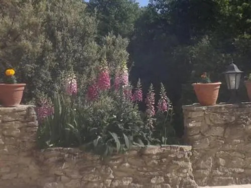 Villa Route D'Entrechaux D13