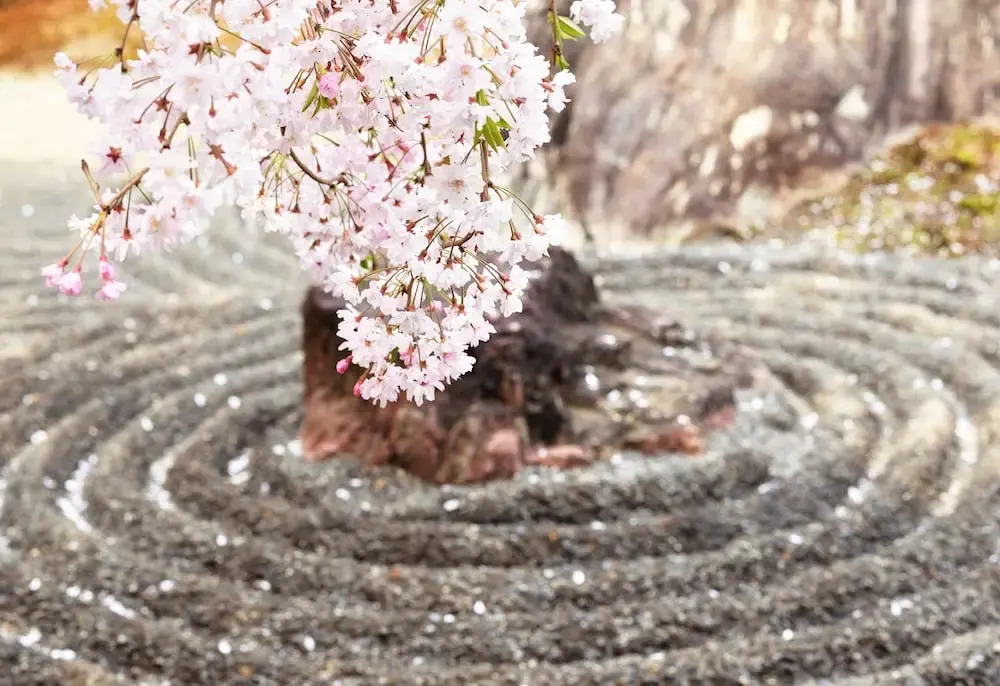 Kyo no Ondokoro MARUTAMACHI #7
