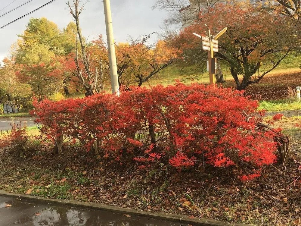 温泉ゲストハウス やすもり 本館