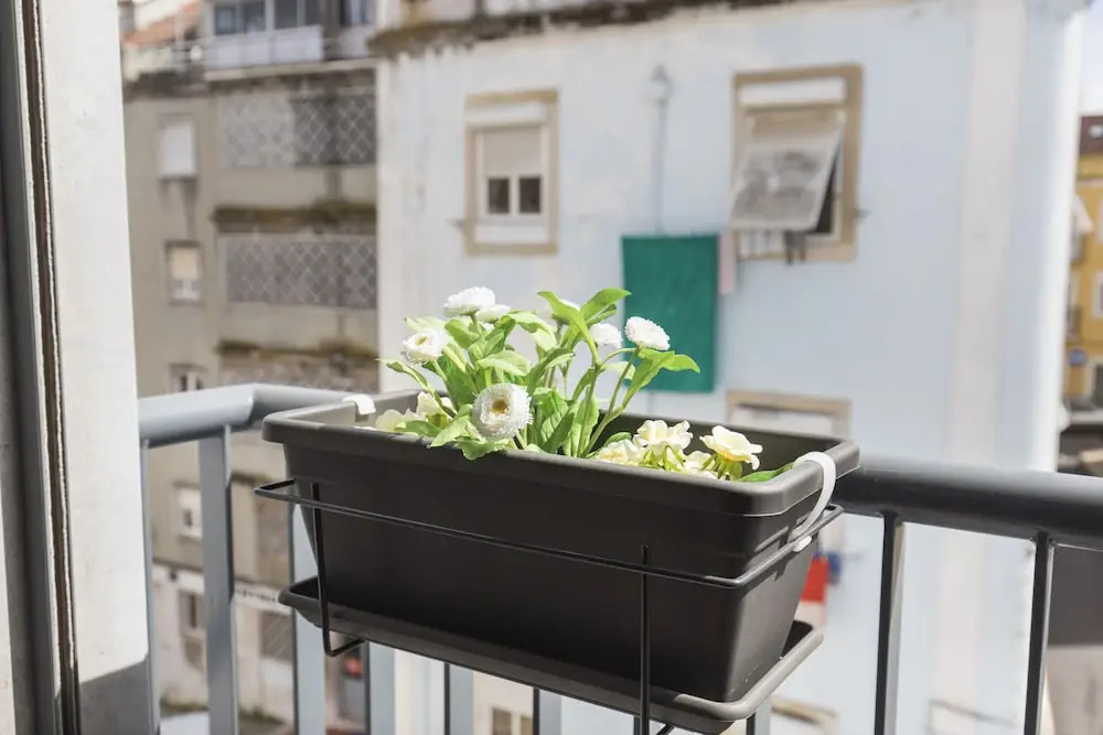 Graça Heartwarming Flat