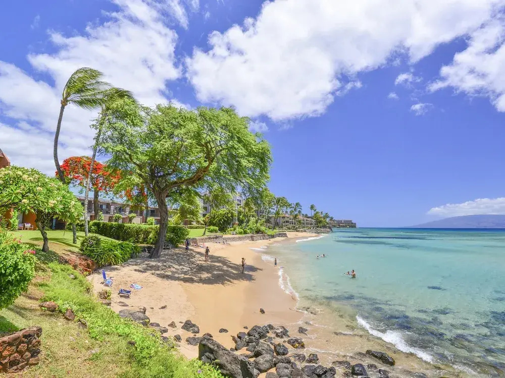 Kuleana 313 - 1Br Condo