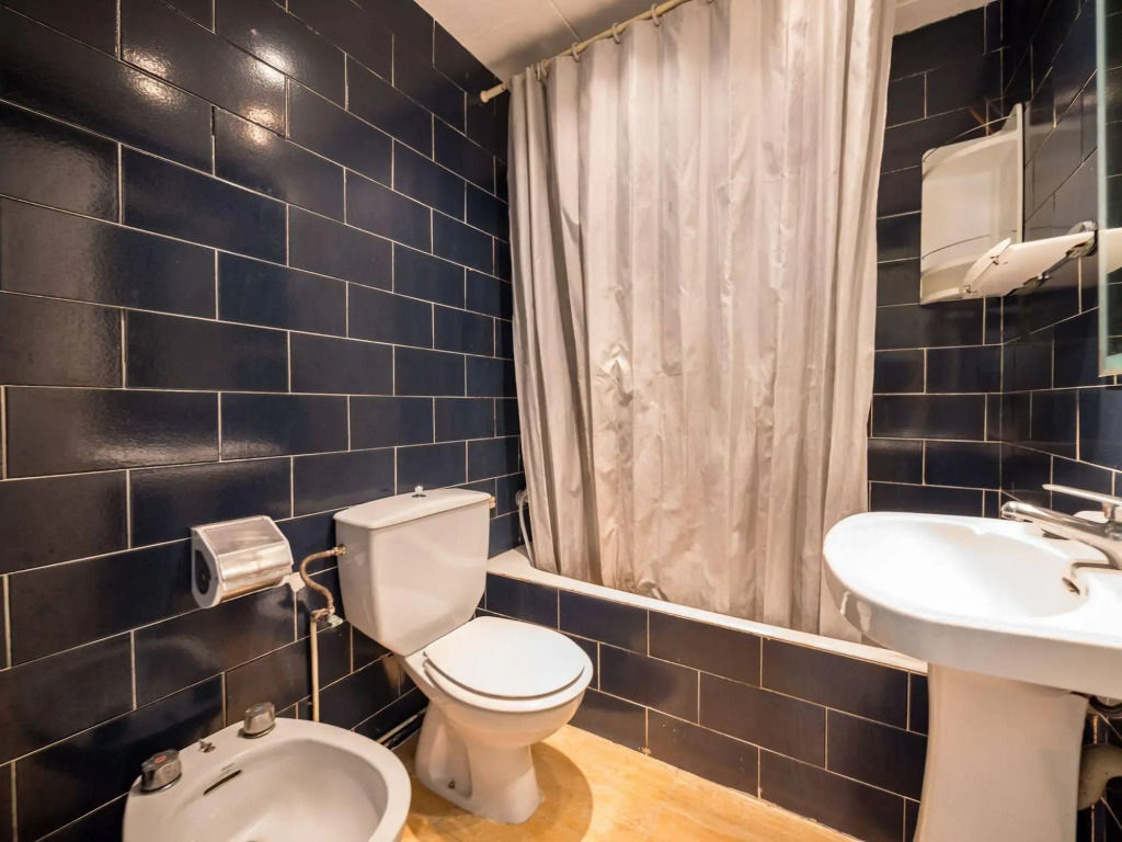 Apartments Borodin
