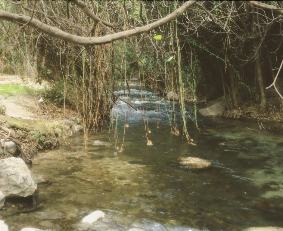 Cortijo el Cercadillo