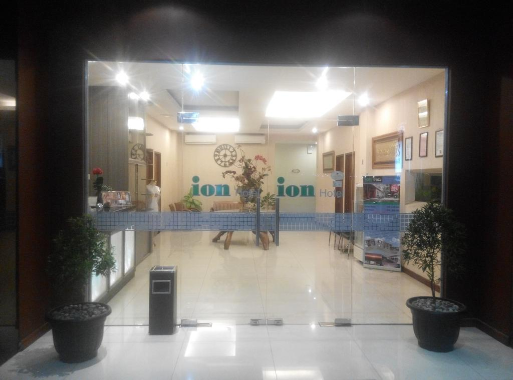 Ion Hotel