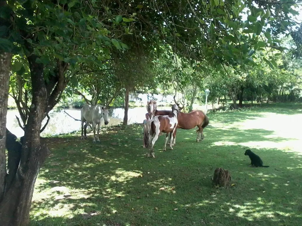 Pousada Recanto do Teimoso Pouso Alegre