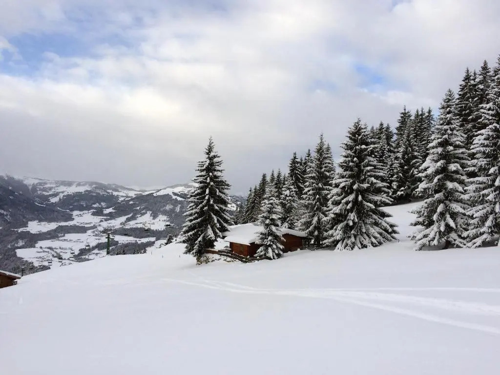 Chalet Julia