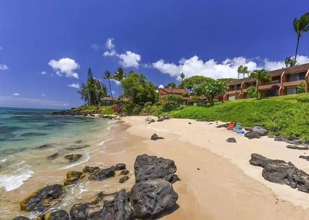 Kuleana 405 Oceanfront 1Bedroom 1 Condo by RedAwning