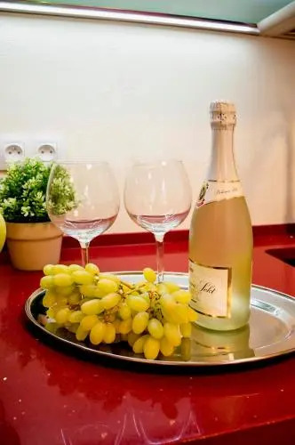 Apartment Za Poricskou branou
