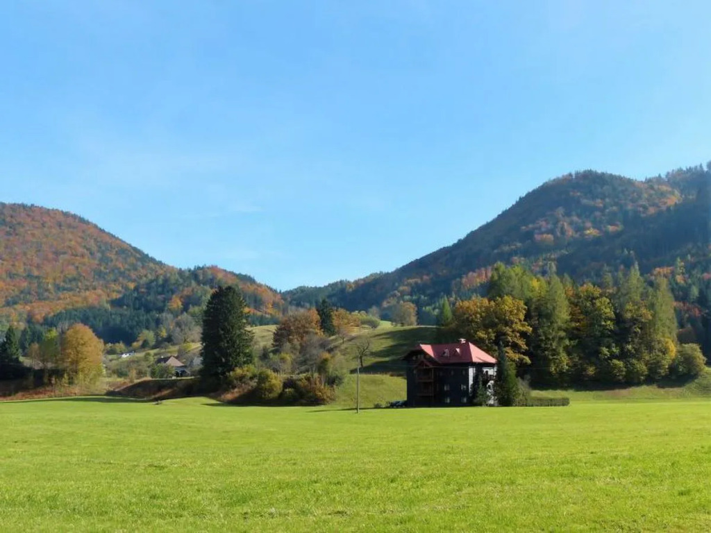 Apartment Fuchsbau Grünau im Almtal