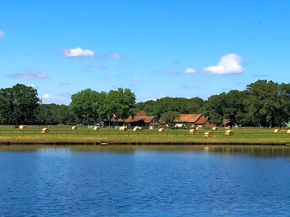 Haras du Vignault