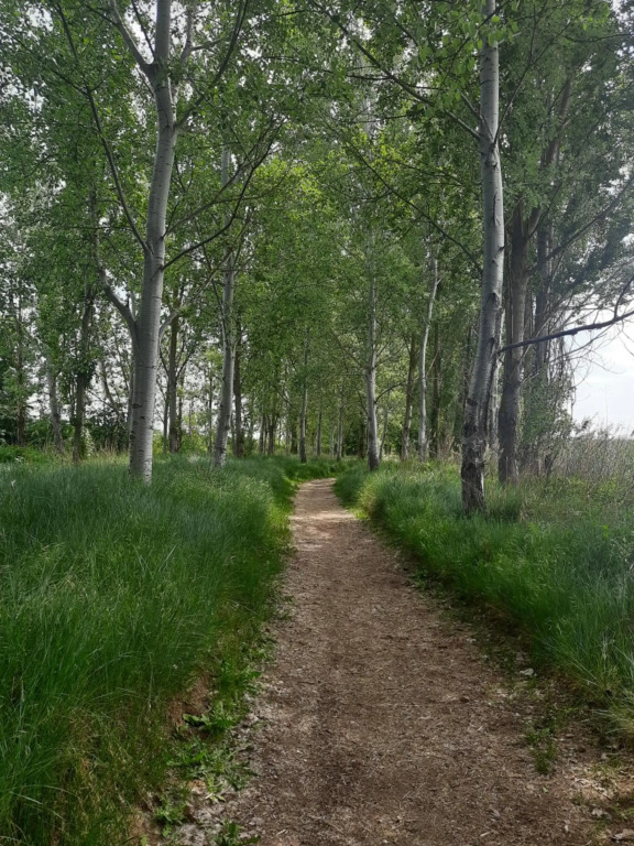 Tordesillas, Miralduero