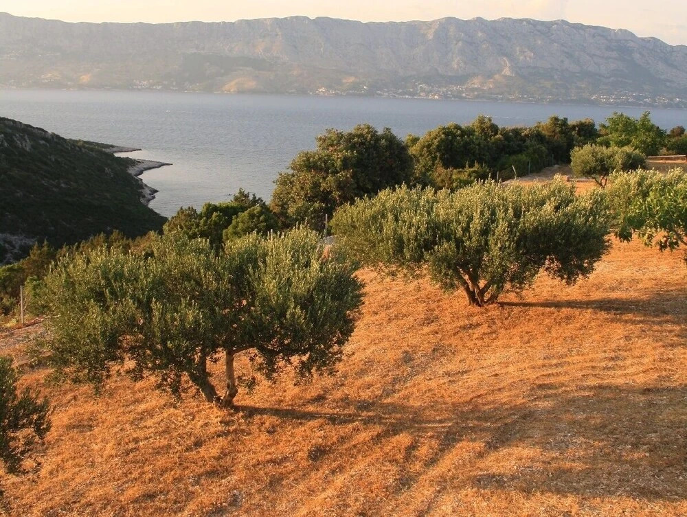 Eco Holiday House, Private Land of 11k sq. Meters!