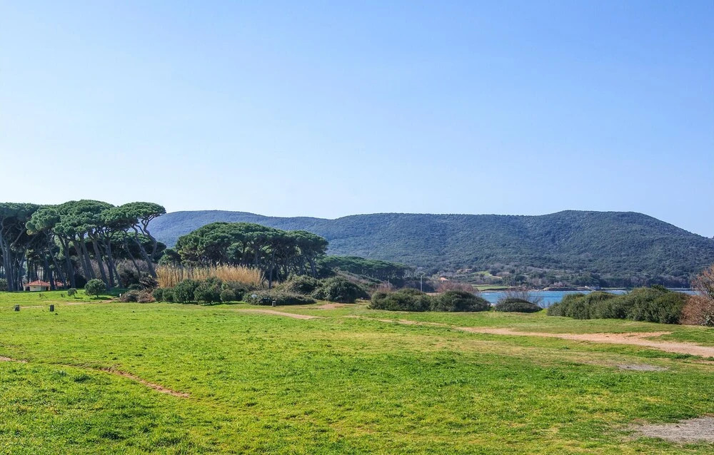 Nice Apartment in Suvereto With 2 Bedrooms and Wifi