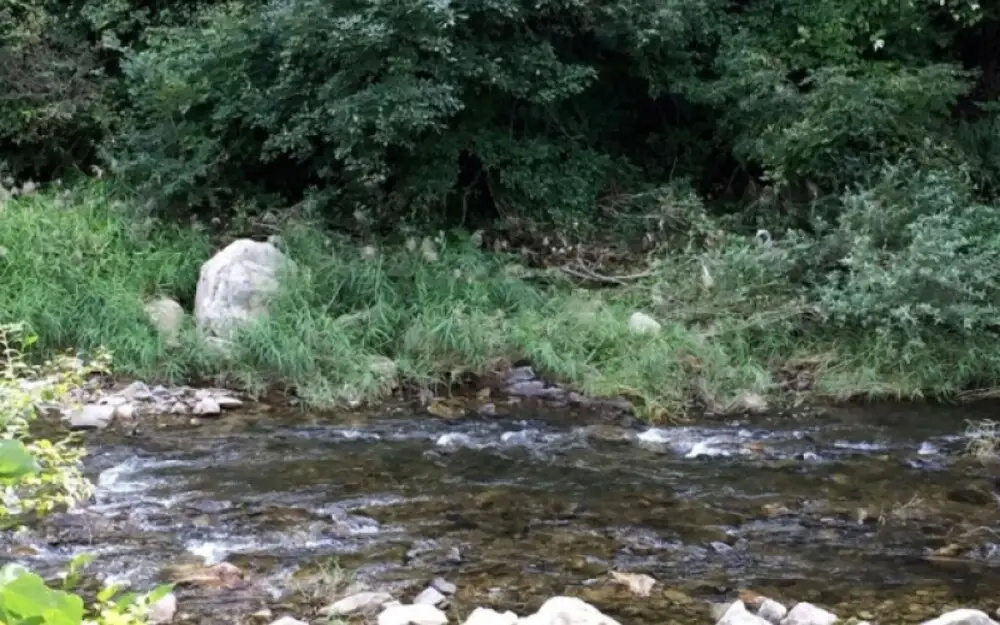 Hongcheon Gaon Resort Village Glamping