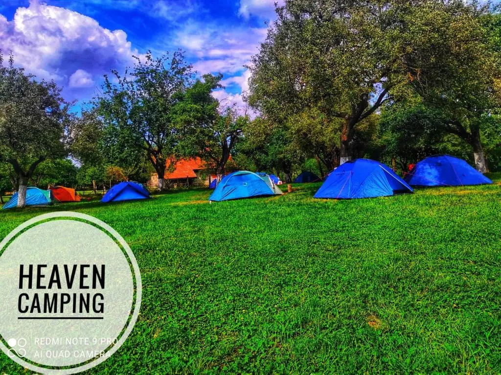 Heaven Camping Bran