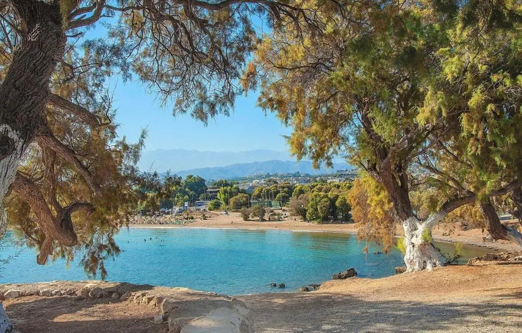 Chania Lissosaparments