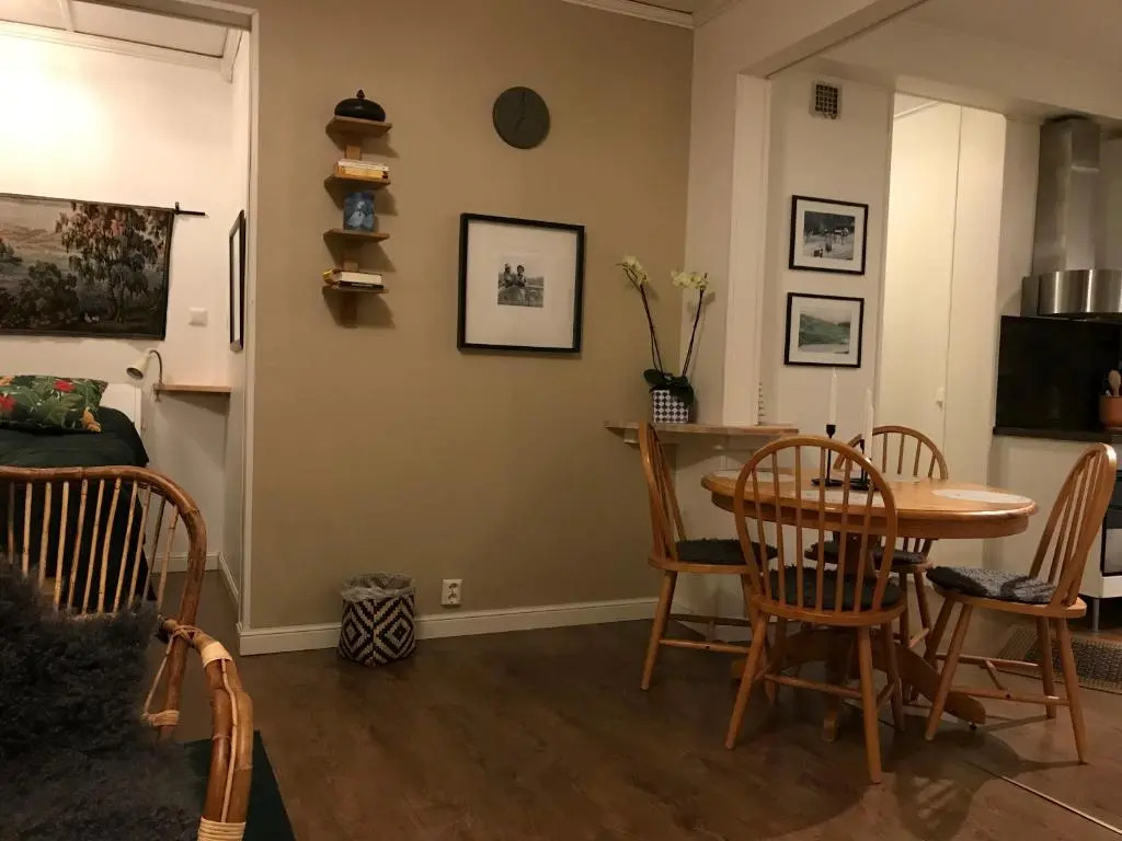Anki's apartment