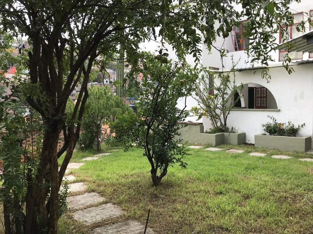 OliLer s House&Garden Zona Centro