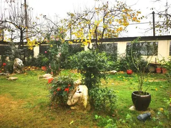 Shanghai Mu She Homestay
