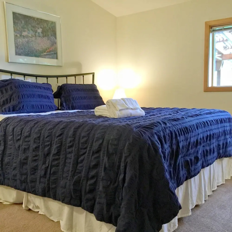 Mt Baker Rim Cabin 70 A pet Friendly Vacation Home With a hot tub and Wifi