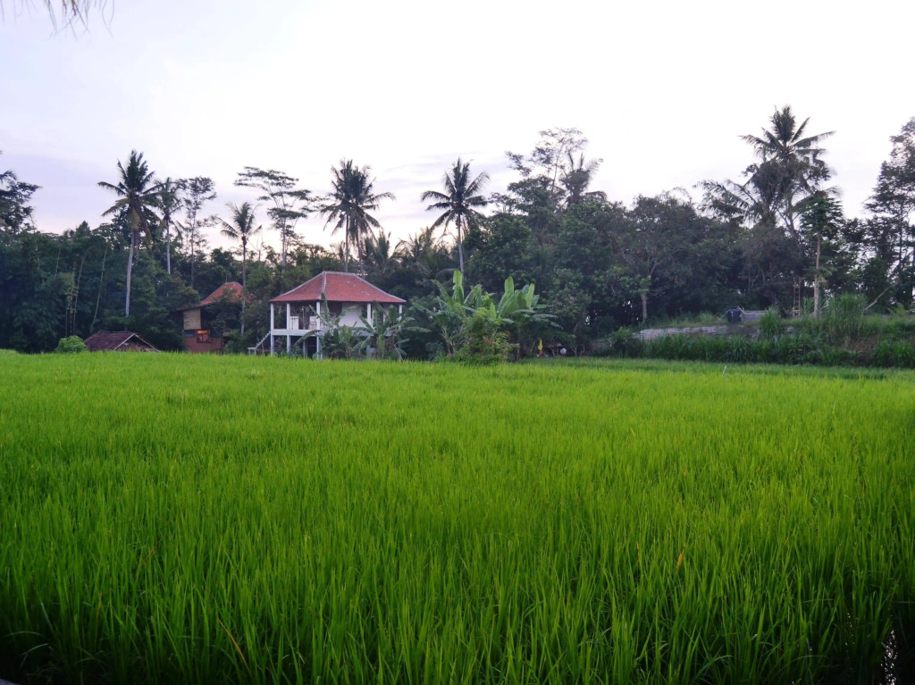 The sowan ubud