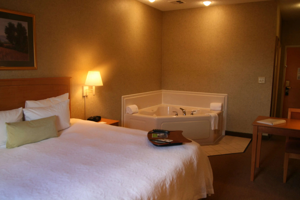 Hampton Inn & Suites Kalamazoo-Oshtemo