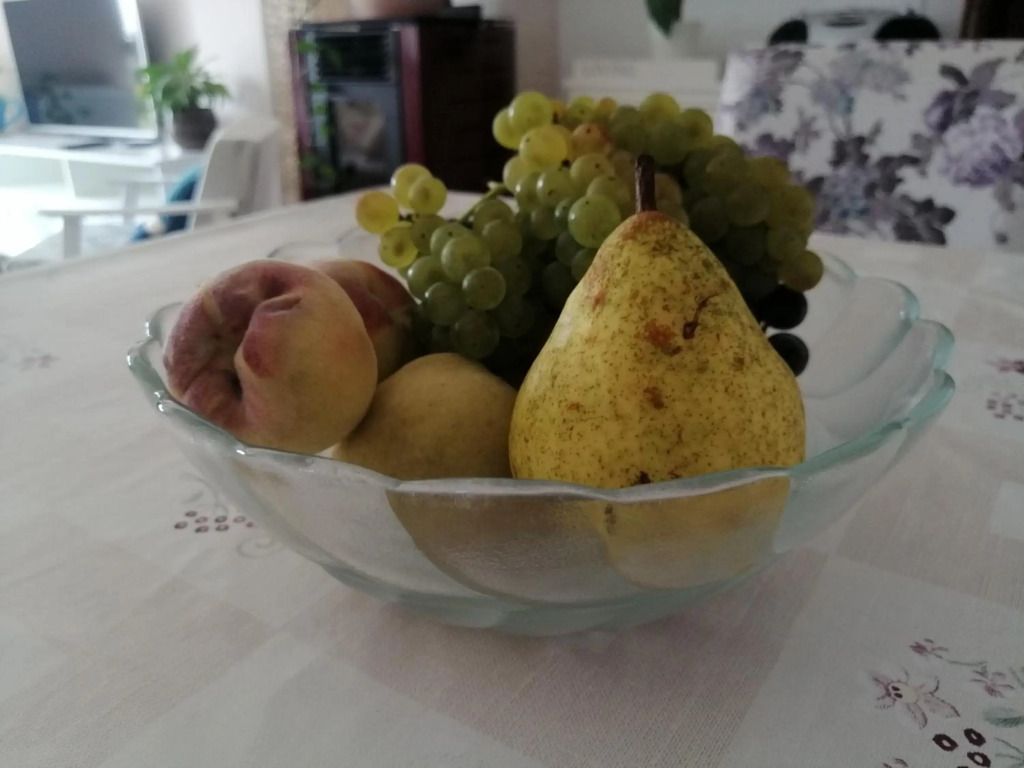Apartman Kopriva