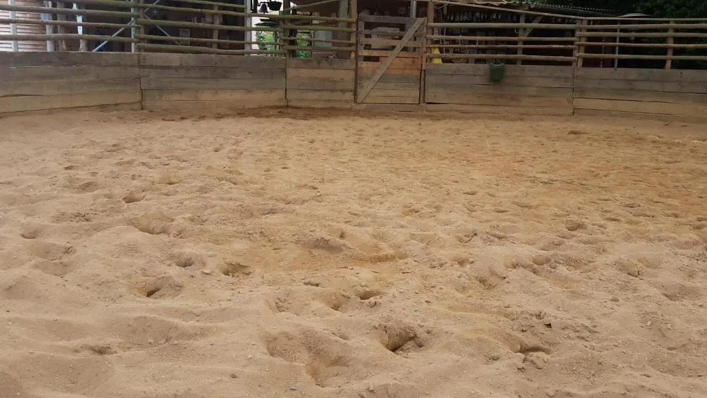 Ranch 79