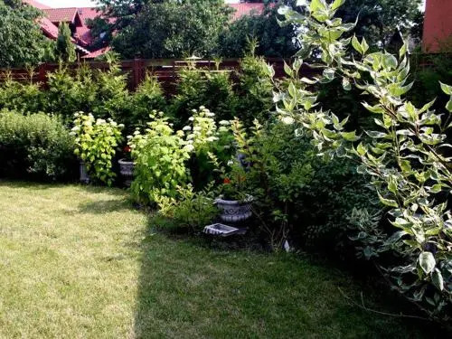 Willa Patio