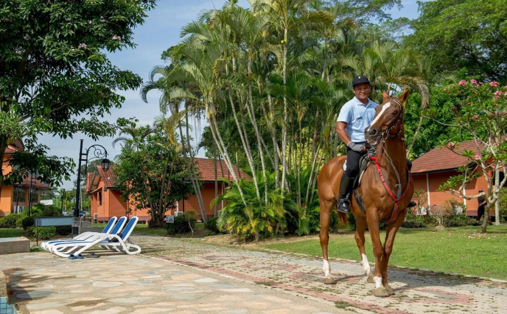 De Palma Resort Kuala Selangor
