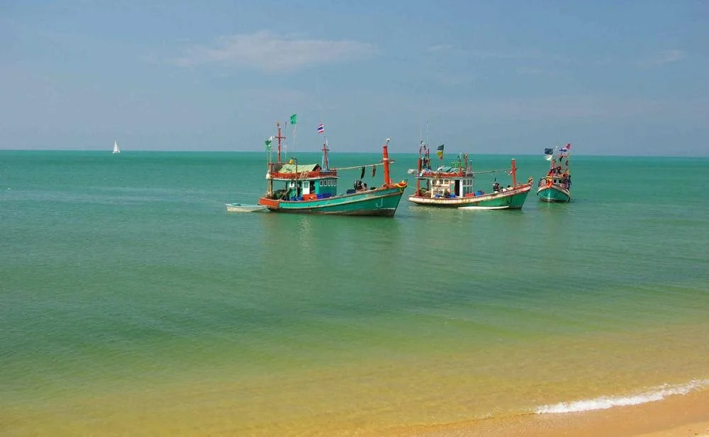 Sea Falcon Hotel