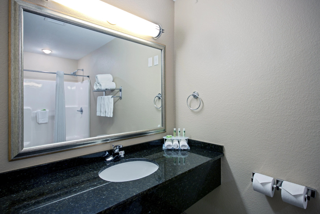 Holiday Inn Express & Suites - Green Bay East by IHG