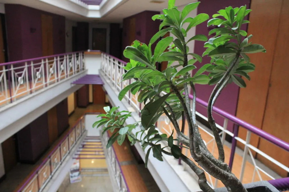 Sofyan Inn Grand Kalimas