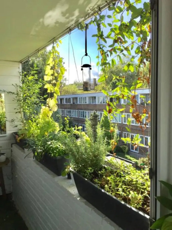 Stylish 1 Bedroom Apartment in Islington