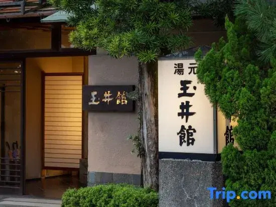 Tamaikan