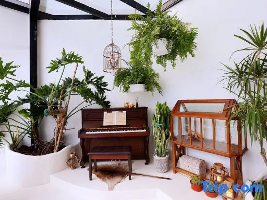 Orange white Vacation Homestay