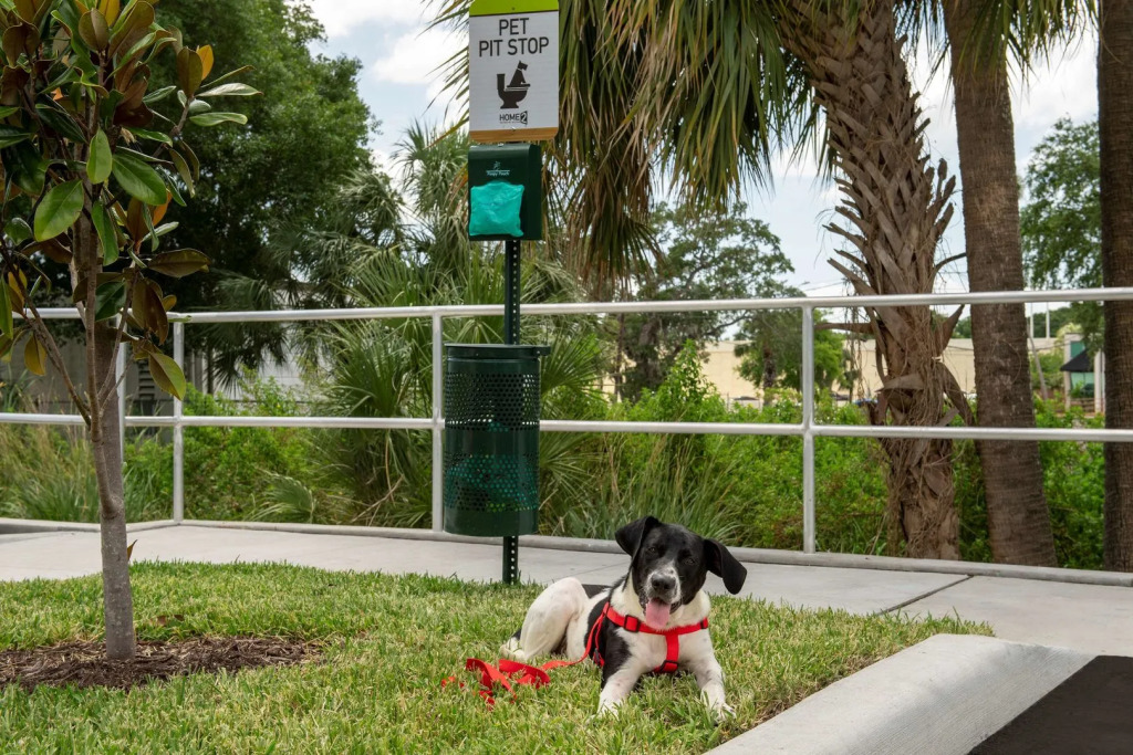 Home2 Suites By Hilton Tampa Westshore Airport, Fl