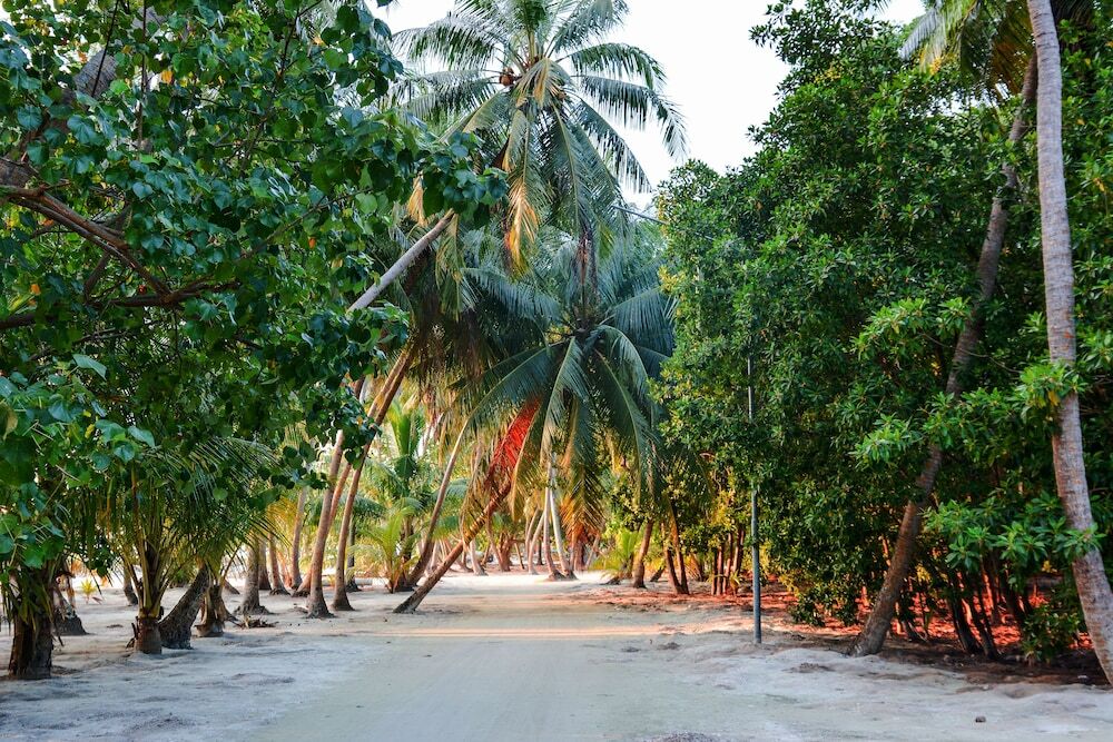Maldives Seashine Guesthouse