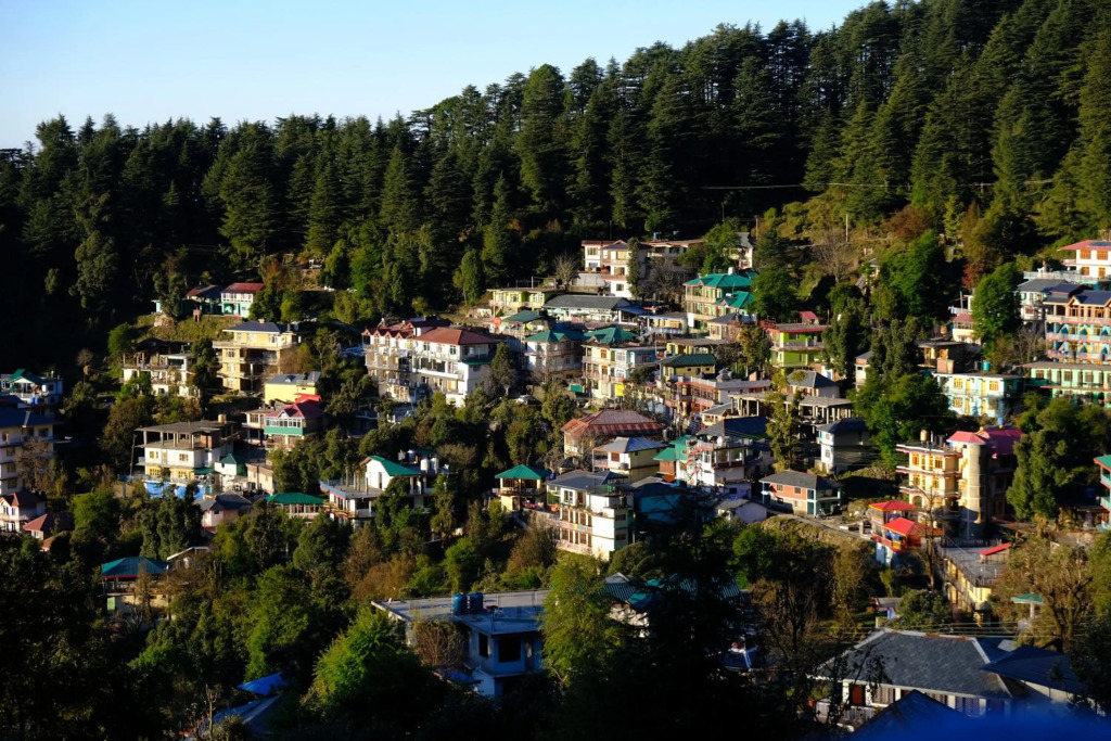 Mitra Mcleodganj