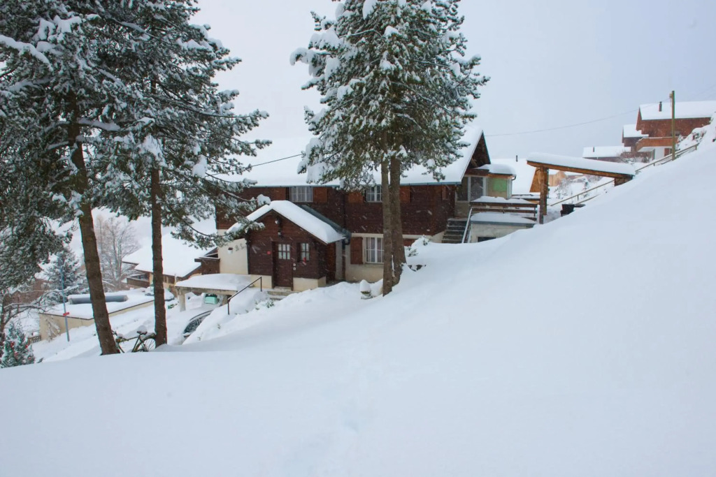 Chalet Serpolet - Appartement