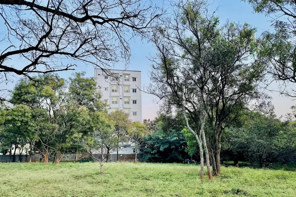 Truelife Whitefield