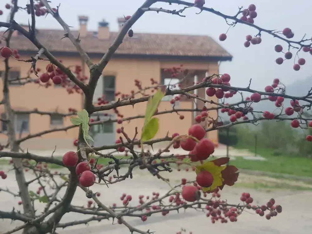 Agriturismo Ben Ti Voglio