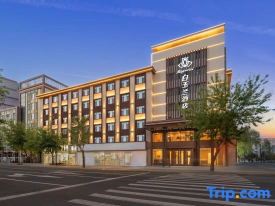 Magnotel Magnolia Hotel (Jiamusi Railway Station New Mart)