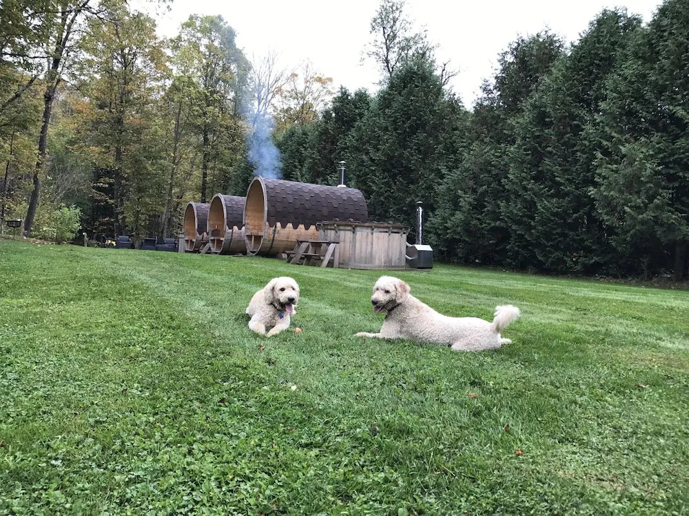 WilloBurke Boutique Inn & Nordic Spa