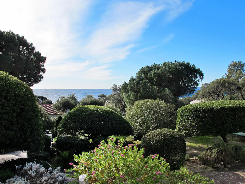 Pigeon Vole (LIS235)