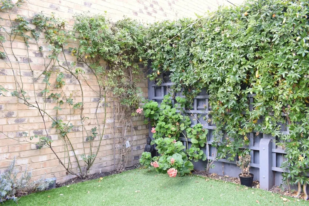 2 Bedroom House Close To Peckham Rye Park