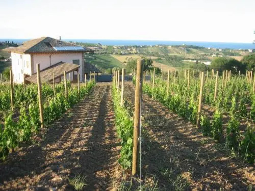 L'Orso e L'Ape B&B