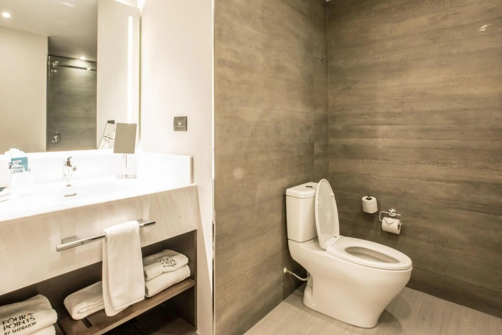 Four Points by Sheraton Puebla