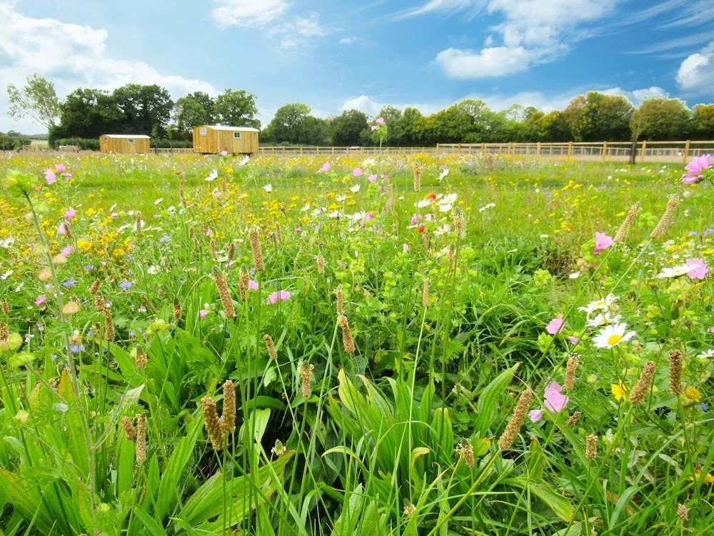 Honeysuckle Farm Hut 4 - Suffolk Farm Holidays